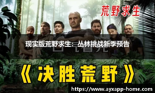 爱游戏体育app